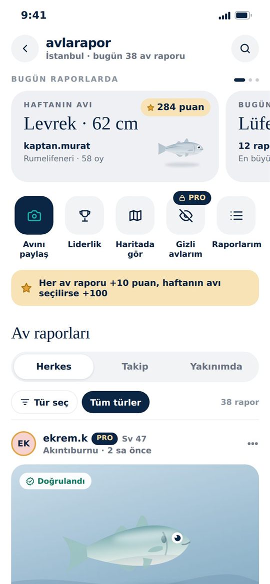 Av raporları akışı ve haftanın avı