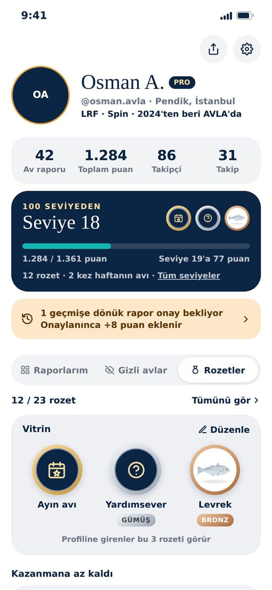 Profil: seviye ve rozet vitrini